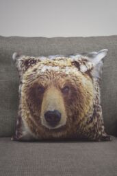 Rapport Home Big Bear Polyester Cushion Cover (43x43) Multicolor - Size: 43 cm x 43 cm - thumbnail 1