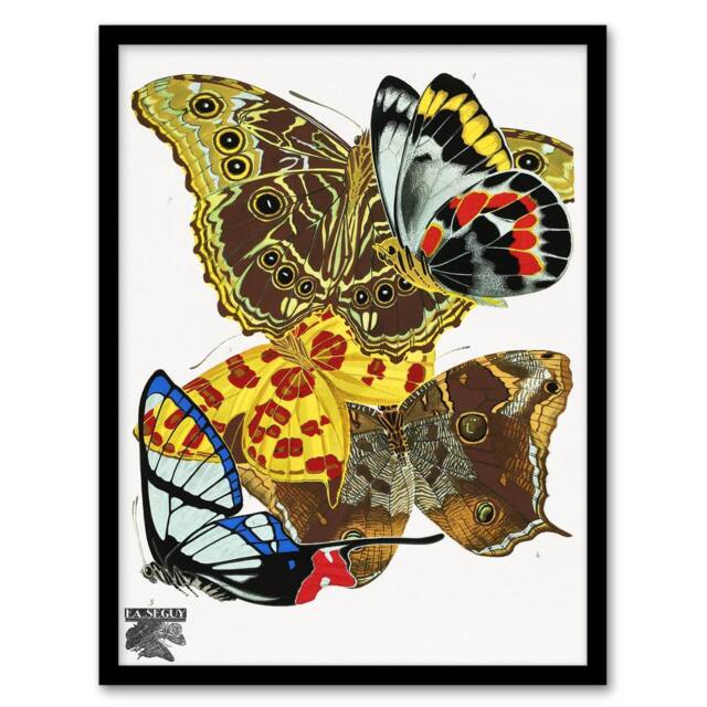 Artery8 Eugene Seguy Framed Wall Art Papillons Bright Vintage Butterflies - Size: A4 - image 1