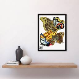 Artery8 Eugene Seguy Framed Wall Art Papillons Bright Vintage Butterflies - Size: A4 - thumbnail 2