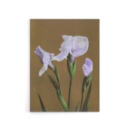 "Artery8 Japanese Water Iris Flowers Canvas Wall Art Print Ogawa Kazumasa in Brown - Size: W18"" x H24""" - thumbnail 1