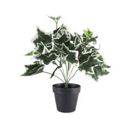 Voltico Artificial Ivy Plant Hanging Vine Greenery Garland Home Decor in Green - thumbnail 3