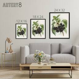 "Artery8 Vintage Artwork of Early Rivers Cherries Wright Framed Canvas Wall Art in White - Size: W12"" x H16""" - thumbnail 4