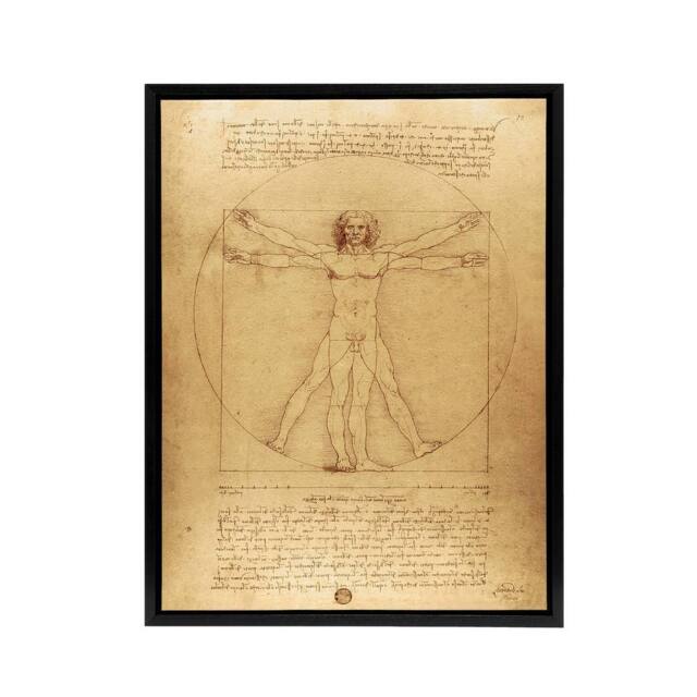 "Artery8 Vitruvian Man Drawing da Vinci Vintage Black Framed Canvas Wall Art in Brown - Size: W12"" x H16""" - image 1