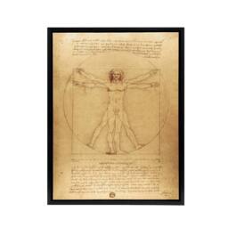 "Artery8 Vitruvian Man Drawing da Vinci Vintage Black Framed Canvas Wall Art in Brown - Size: W12"" x H16""" - thumbnail 1
