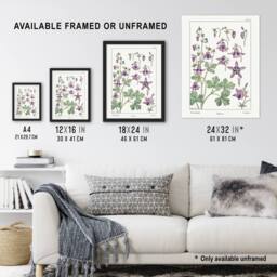 "Artery8 Columbine Aquilegia Flower Vintage Wall Art Print Verneuil in White - Size: W12"" x H16""" - thumbnail 3