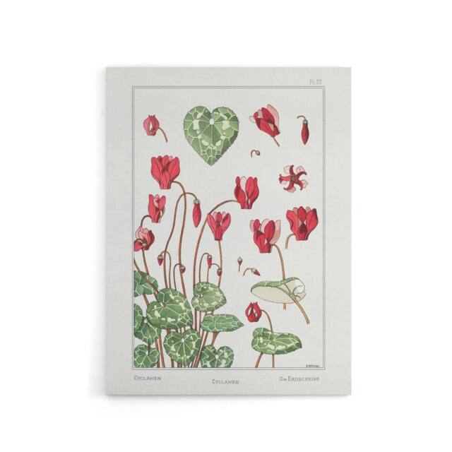 "Artery8 Cyclamen Flower Canvas Wall Art Print Vintage Floral Verneuil in White - Size: W18"" x H24""" - image 1