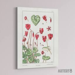 "Artery8 Cyclamen Flower Canvas Wall Art Print Vintage Floral Verneuil in White - Size: W18"" x H24""" - thumbnail 2