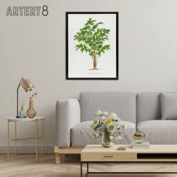 "Artery8 Caryota Sobolifera Palm Tree Kerchove Framed Canvas Wall Art Print in White - Size: W12"" x H16""" - thumbnail 3
