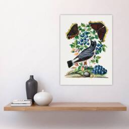 "Artery8 Northern Wheatear & Mourning Cloak Bolton Wall Art Poster Print - Size: W18"" x H24""" - thumbnail 4