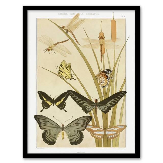 Artery8 Butterflies & Dragonflies Vintage Framed Wall Art Print Verneuil in Khaki - Size: A4 - image 1