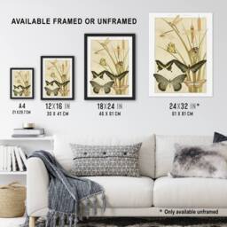 Artery8 Butterflies & Dragonflies Vintage Framed Wall Art Print Verneuil in Khaki - Size: A4 - thumbnail 3