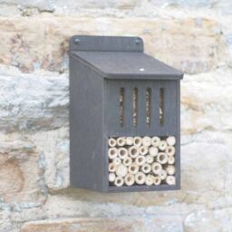 Buttercup Farm Bug House - Plywood/Bamboo - L16 x W13 x H24 cm in Black - thumbnail 4