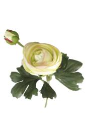 KDMD Rannunculus Cream Pink 5 Pack Artificial Flowers - thumbnail 5