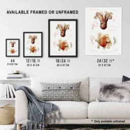 "Artery8 Octopus Marine Life Study Albert I Wall Art Poster Print in White - Size: W12"" x H16""" - thumbnail 3