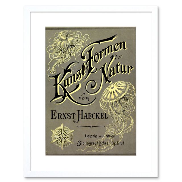 "Artery8 Wall Art Print Ernst Haeckel Kunst Formen Der Natur Cover Page Artwork Framed 9X7 Inch in White - Size: W7"" x H9""" - image 1