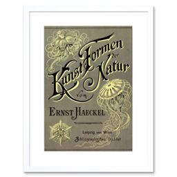 "Artery8 Wall Art Print Ernst Haeckel Kunst Formen Der Natur Cover Page Artwork Framed 9X7 Inch in White - Size: W7"" x H9""" - thumbnail 1