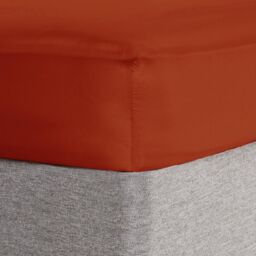 OHS Ultra Soft Microfibre Plain Fitted Bed Sheet in Burnt Orange - Size: Super King - thumbnail 3