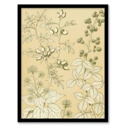 Artery8 Wild Rose Ivy Blackberry Botanical Jones Vintage Framed Wall Art Print in Beige - Size: A4 - thumbnail 1