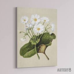 "Artery8 New Zealand Mountain Lily Flowers Featon Canvas Wall Art Print in Beige - Size: W12"" x H16""" - thumbnail 2