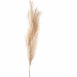 Sostter Bleached Faux Pampas Grass Stem in Ivory - Size: 120 - thumbnail 2