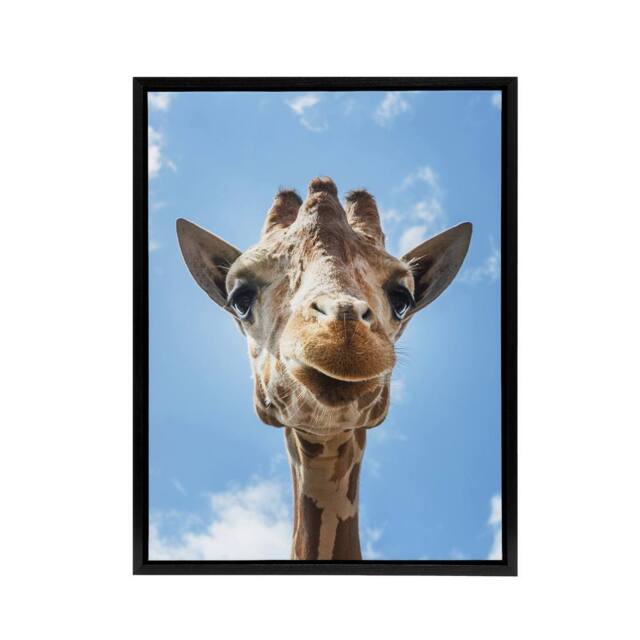 "Artery8 Up close look at a giraffe Carol M Highsmith Framed Canvas Wall Art in Blue - Size: W12"" x H16""" - image 1