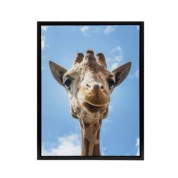 "Artery8 Up close look at a giraffe Carol M Highsmith Framed Canvas Wall Art in Blue - Size: W12"" x H16""" - thumbnail 1