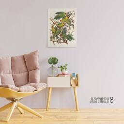 "Artery8 Carolina Parakeet Parrot Audubon Nature Canvas Wall Art in White - Size: W24"" x H32""" - thumbnail 3