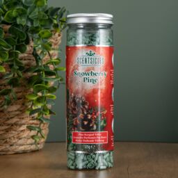 Samuel Alexander 125g Snowberry Pine Cones Scentsicles Scentfetti Christmas Decoration in Green - thumbnail 2
