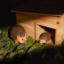 Marco Paul Hedgehog Family Garden Ornaments - Parent & Child - thumbnail 6