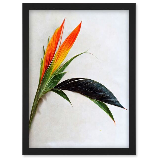 Artery8 Tropical Plant Bird of Paradise Flower Botanical Bloom Artwork Framed Wall Art Print A4 in Black - image 1