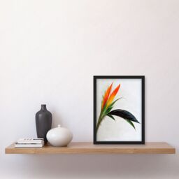 Artery8 Tropical Plant Bird of Paradise Flower Botanical Bloom Artwork Framed Wall Art Print A4 in Black - thumbnail 2