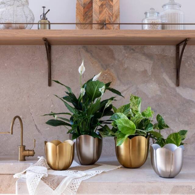 Ivyline Eva Metal Tulip Silver Planter Set of 2 - image 1