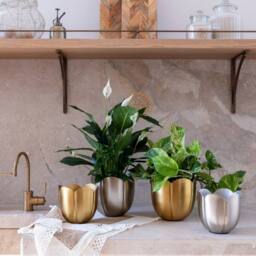 Ivyline Eva Metal Tulip Silver Planter Set of 2