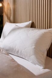 Snuggledown Luxury Cotton Quilted Pillow, Firm Support, 2 Pack in White - thumbnail 1