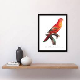 Artery8 Francois Levaillant Framed Wall Art Print The Crimson Shining Parrot in White - Size: A4 - thumbnail 2