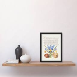Artery8 Model Book of Calligraphy Framed Wall Art Iris Flower & Hazelnut in White - Size: A4 - thumbnail 2
