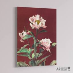 "Artery8 Pink Herbaceous Peony Flower Canvas Wall Art Print Ogawa Kazumasa in Red - Size: W18"" x H24""" - thumbnail 2