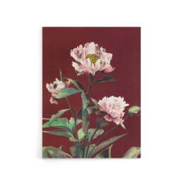 "Artery8 Pink Herbaceous Peony Flower Canvas Wall Art Print Ogawa Kazumasa in Red - Size: W18"" x H24""" - thumbnail 1
