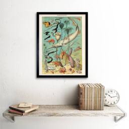 "Artery8 Millot Encyclopedia Page Ocean Fish Shark 12x16"" Framed Wall Art Print - Size: W12"" x H16""" - thumbnail 2