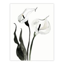 "Artery8 Calla Lily Flower Black White Watercolour Lilies Wall Art Print - Size: W24"" x H32""" - thumbnail 1
