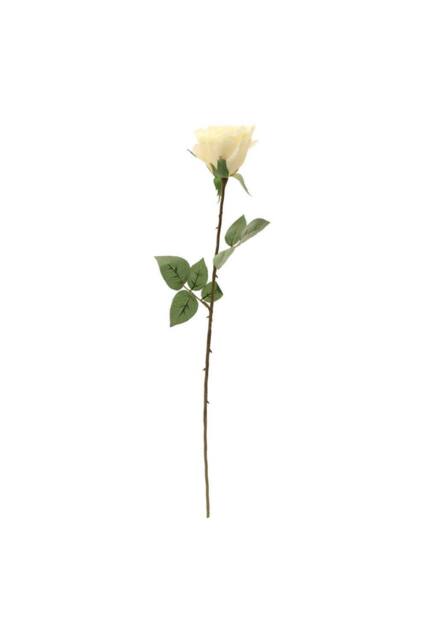 KDMD Kaia Rose Stem in Cream 2 Pack - image 1
