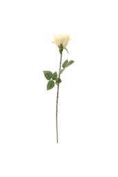 KDMD Kaia Rose Stem in Cream 2 Pack - thumbnail 2