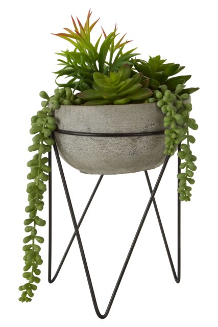 Orsina Fiori Mixed Succulent with Metal Stand in Grey - image 1