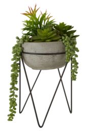 Orsina Fiori Mixed Succulent with Metal Stand in Grey
