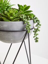 Orsina Fiori Mixed Succulent with Metal Stand in Grey - thumbnail 5