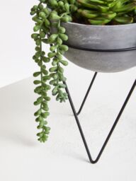 Orsina Fiori Mixed Succulent with Metal Stand in Grey - thumbnail 3