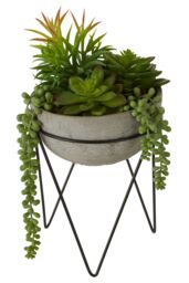 Orsina Fiori Mixed Succulent with Metal Stand in Grey - thumbnail 2