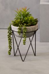 Orsina Fiori Mixed Succulent with Metal Stand in Grey - thumbnail 6