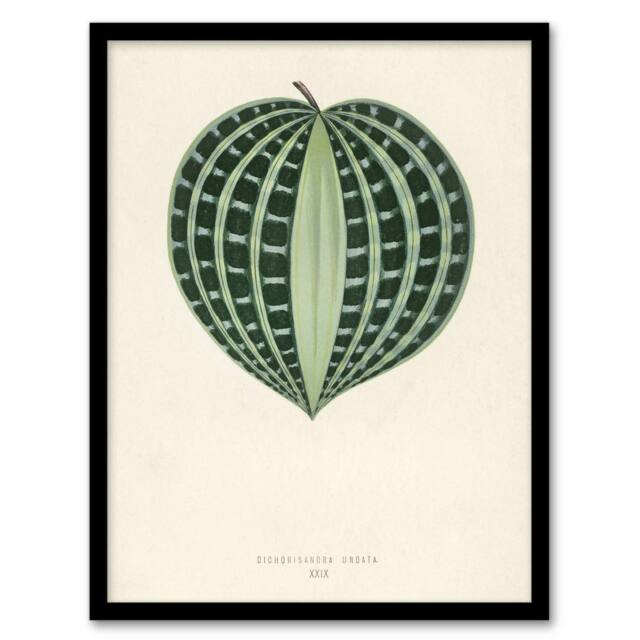Artery8 Vintage Botanical Seersucker Plant Leaf Fawcett Framed Wall Art Print in Beige - Size: A4 - image 1