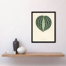 Artery8 Vintage Botanical Seersucker Plant Leaf Fawcett Framed Wall Art Print in Beige - Size: A4 - thumbnail 4